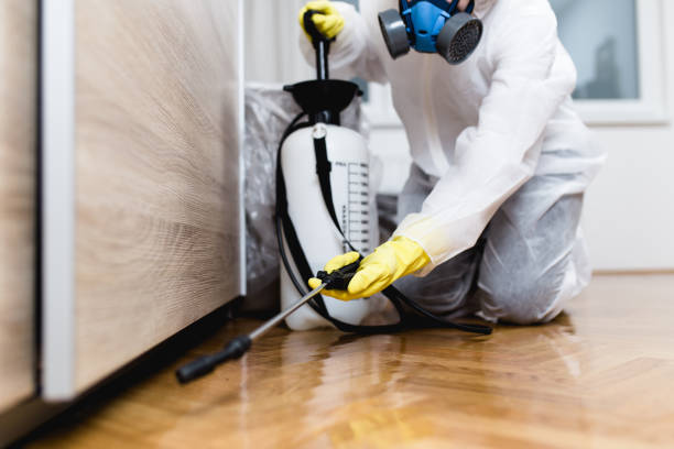Best Pest Inspection Near Me  in Dellwood, MO