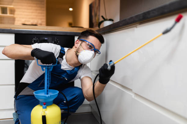 Best Residential Pest Control  in Dellwood, MO