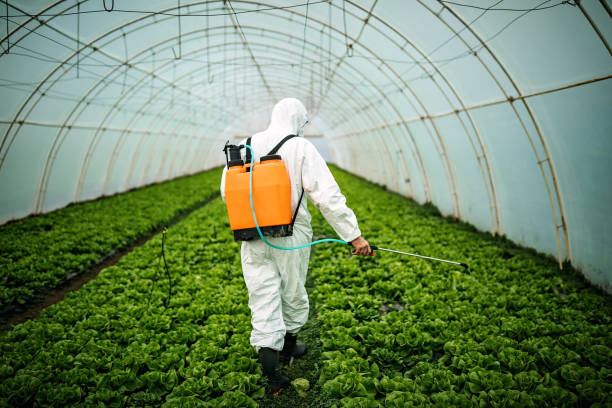 Best Pest Control Cost  in Dellwood, MO
