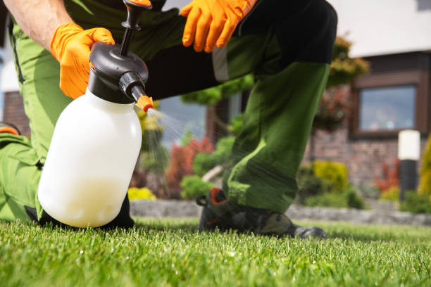 Best Bed Bug Extermination  in Dellwood, MO