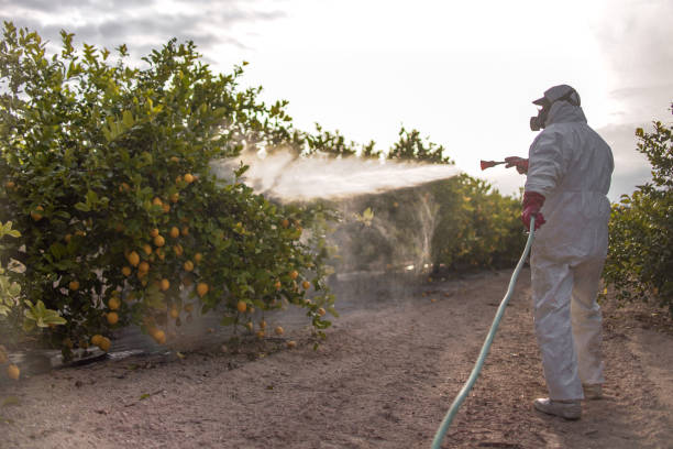 Reliable Dellwood, MO Pest Control Solutions