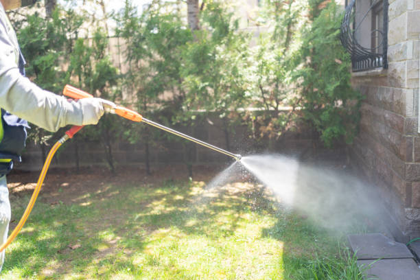 Best Local Pest Control Services  in Dellwood, MO