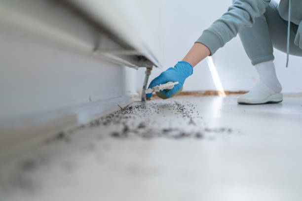 Best Pest Removal Services  in Dellwood, MO